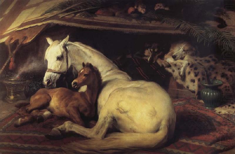Sir Edwin Landseer The Arab Tent china oil painting image